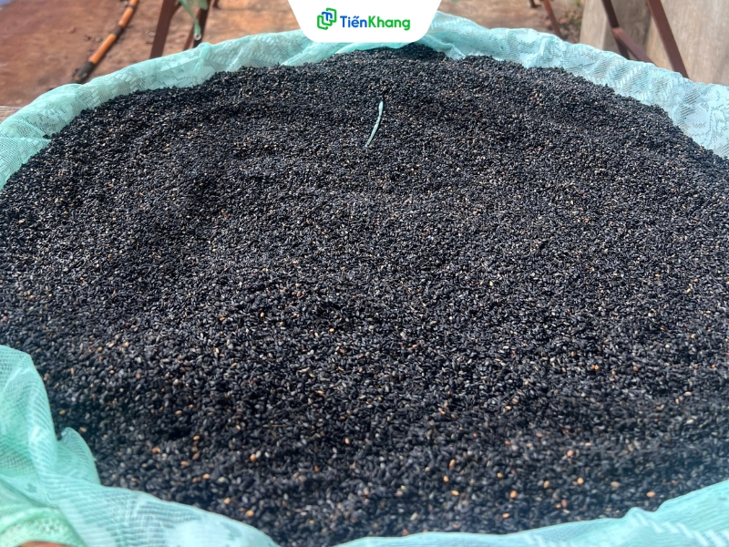 Mè đen được trồng theo phương pháp hữu cơ, không sử dụng thuốc trừ sâu