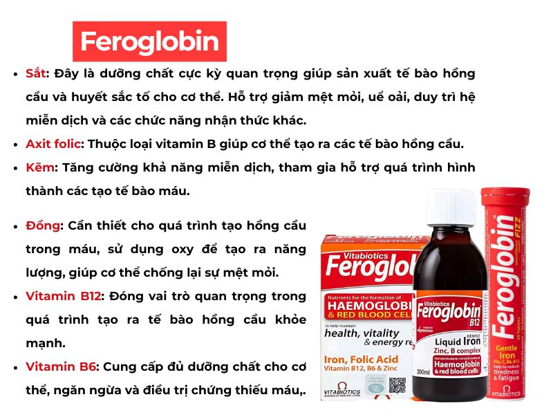 Thành phần của Feroglobin 