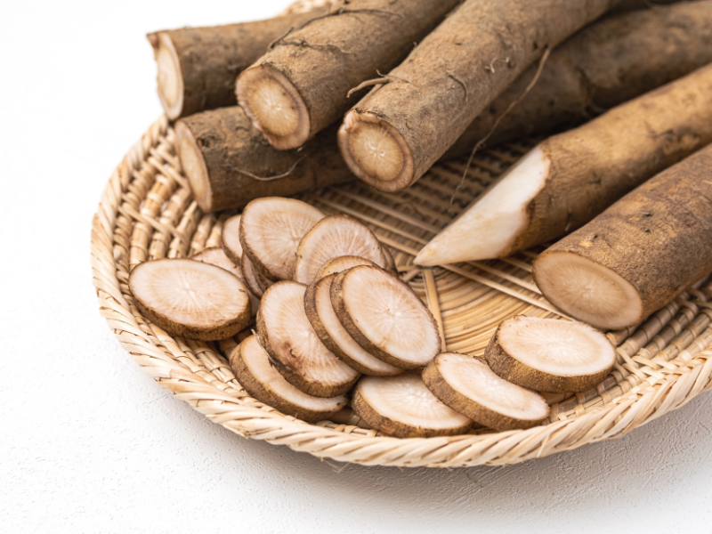 Đặc điểm của ngưu báng 