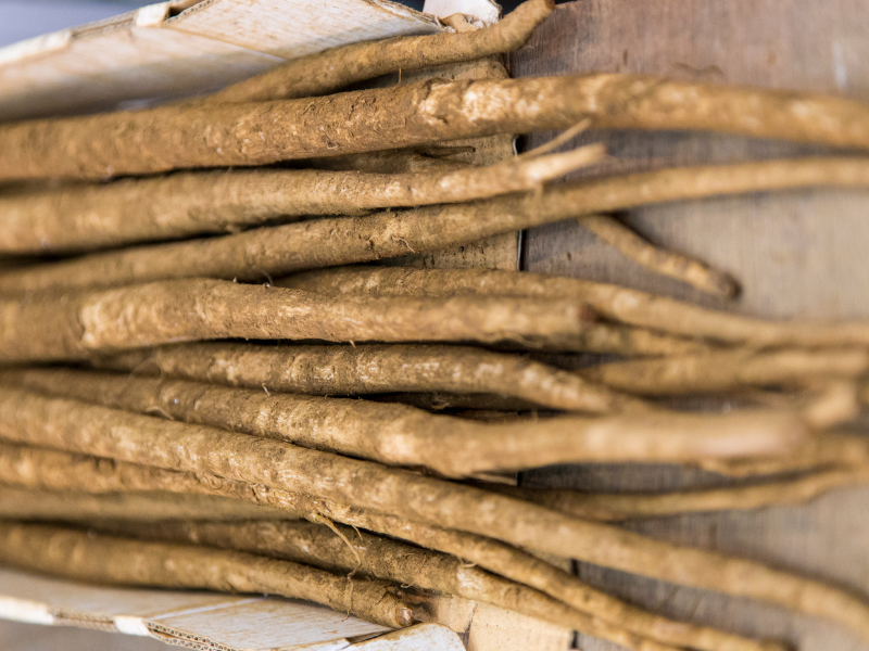 Tươi mới mỗi ngày