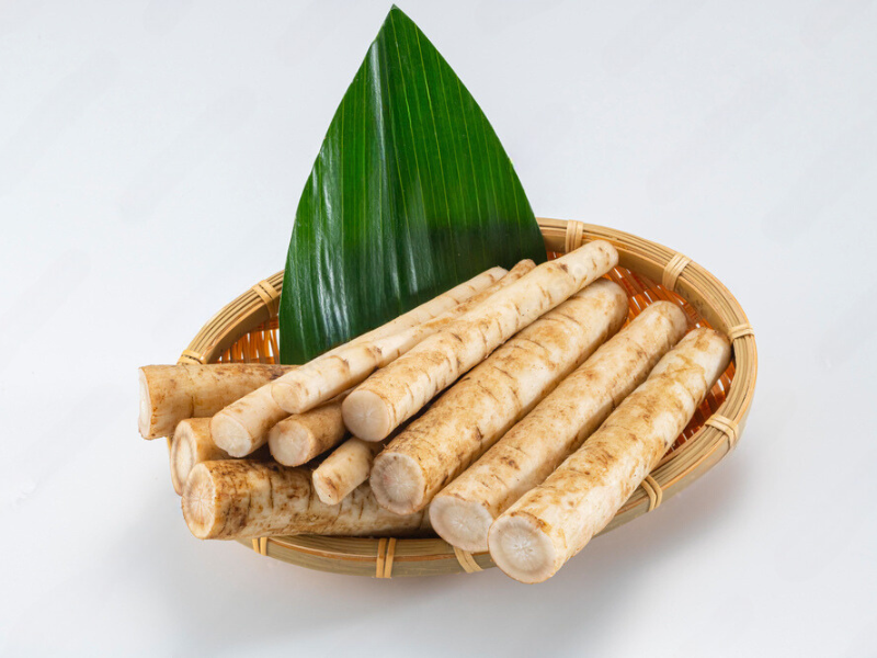 Tác dụng của củ ngưu báng tươi