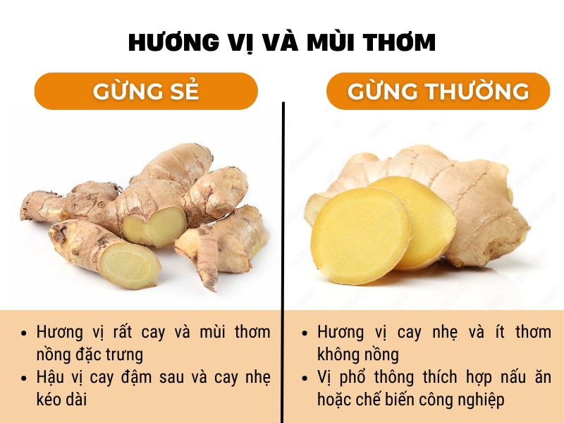 Hương vị và mùi thơm