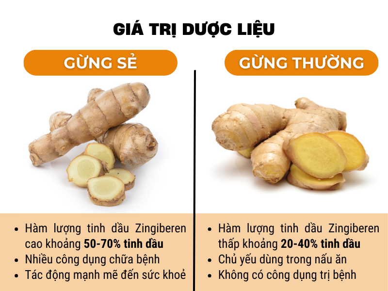 Giá trị dược liệu