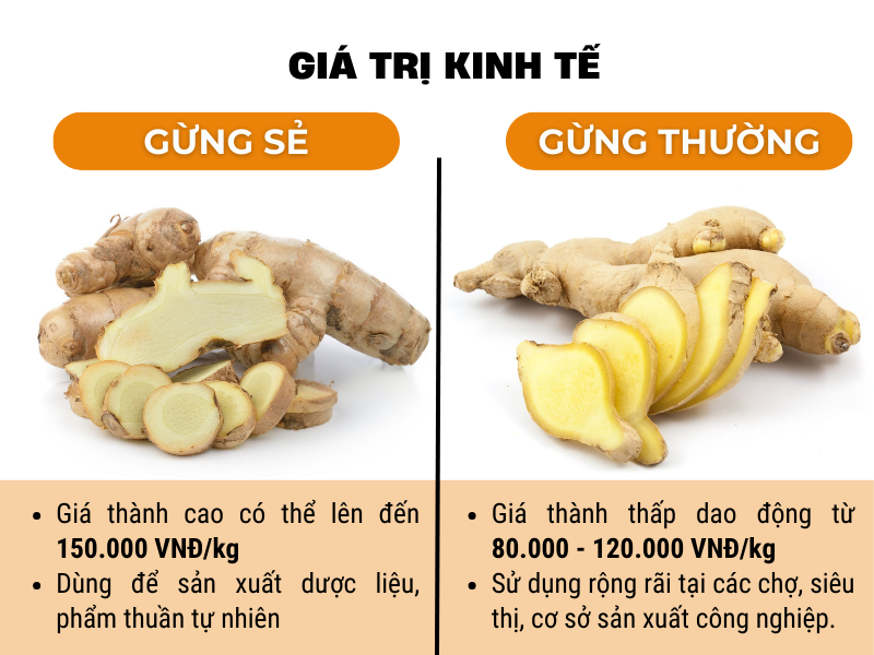 Giá trị kinh tế