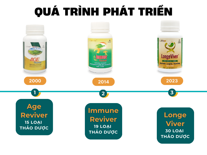 Quá trình phát triển