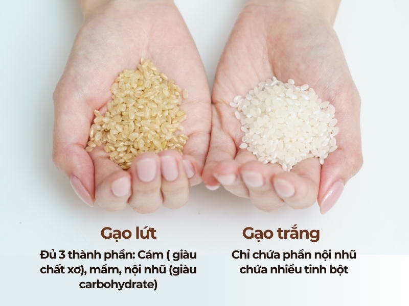 Gạo lứt và gạo trắng 