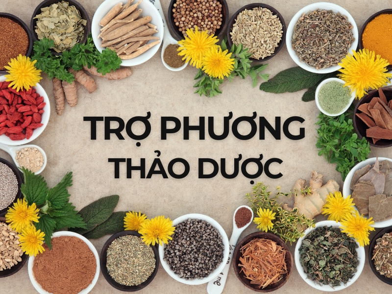 Trợ phương trong thực dưỡng hiện đại là gì?