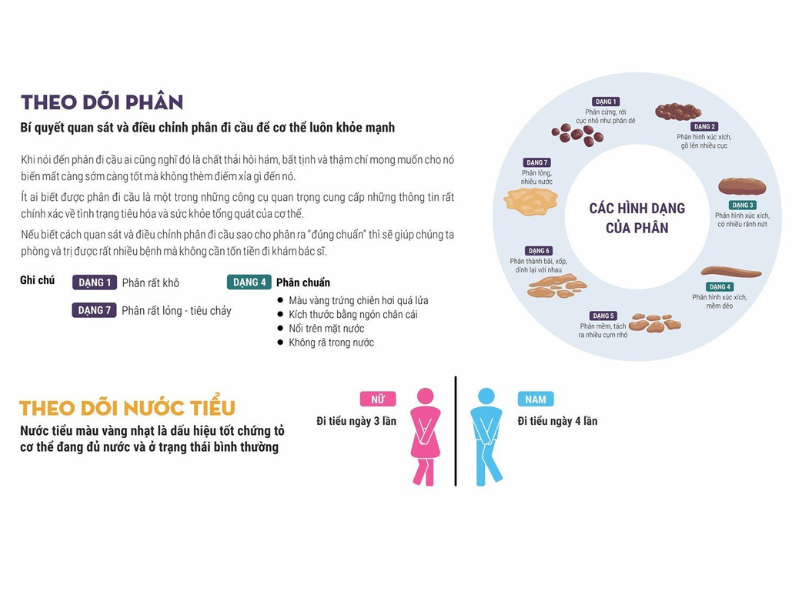 Vì sao nên vấn lộ thức ăn trước khi sử dụng thường xuyên