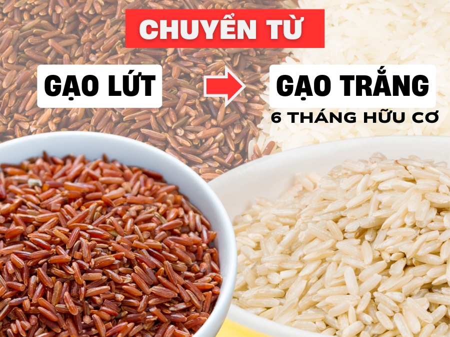 Chuyển từ gạo lứt sang gạo trắng 