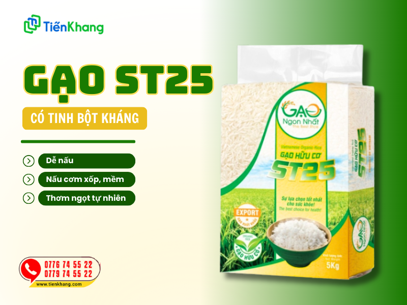 Gạo ST25 do Tiến Khang cung cấp có chứa tinh bột kháng