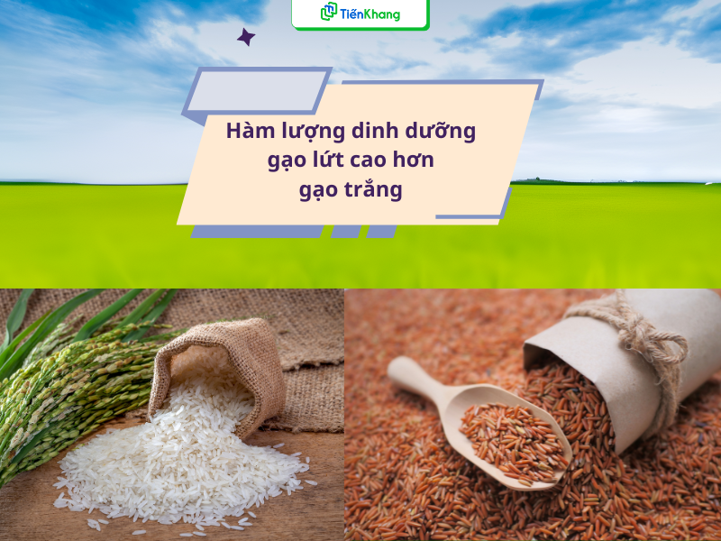 Giá trị dinh dưỡng của gạo lứt cao hơn gạo trắng