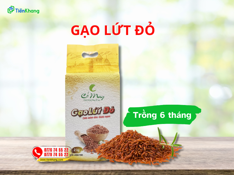 Gạo lứt lứt đỏ Cỏ May