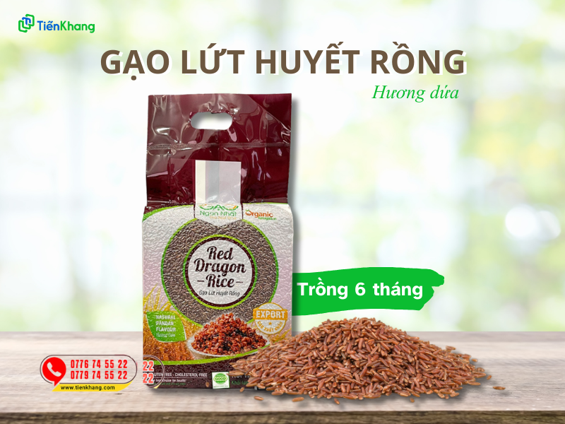 Gạo lứt huyết rồng hương dứa trồng 6 tháng