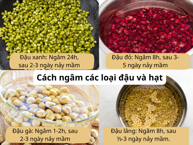 Cách ngâm các loại đậu và hạt