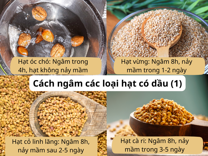 Cách ngâm các loại hạt có dầu