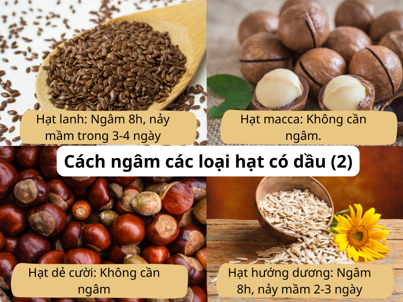 Cách ngâm các loại hạt có dầu tiếp theo