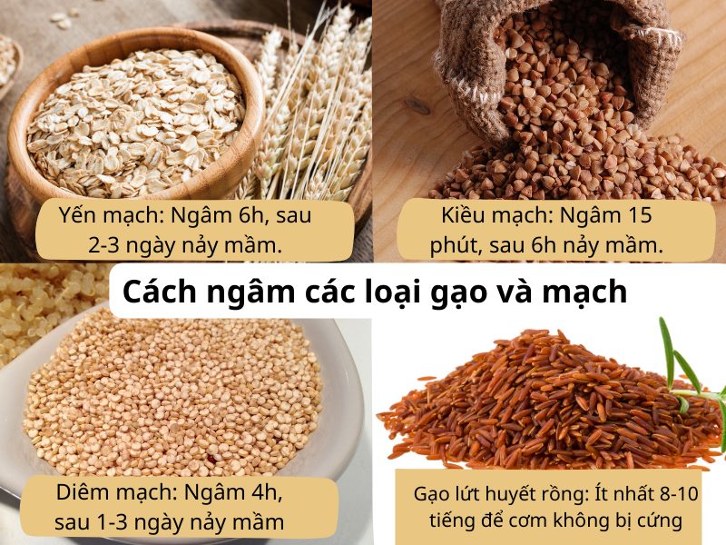 Cách ngâm các loại gạo và mạch