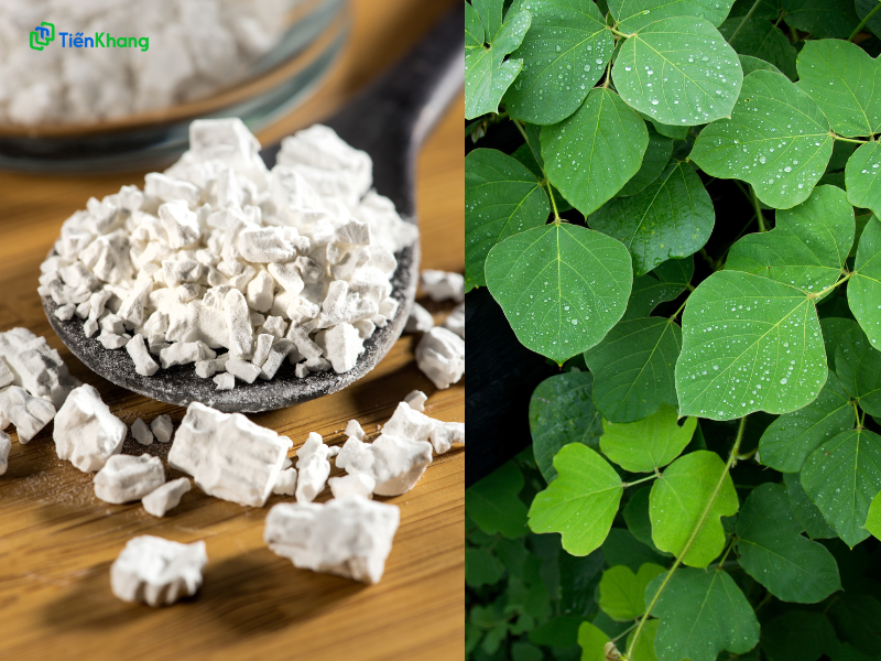 Bột sắn dây được làm từ củ sắn dây.