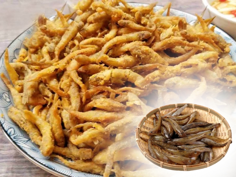 Cá bống trứng thay thế cá chép và cá cơm