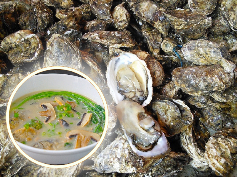 Hàu đá tự nhiên thay thế cá chép và cá cơm