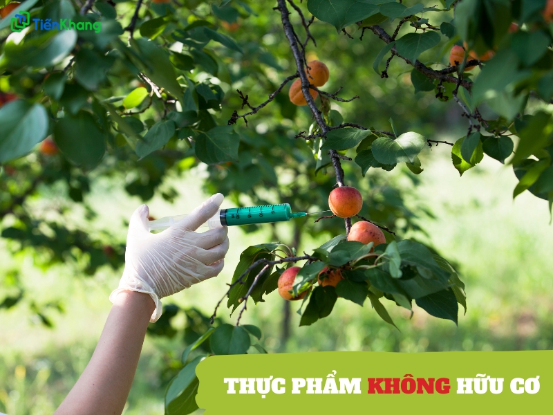 Lựa chọn thực phẩm không hữu cơ