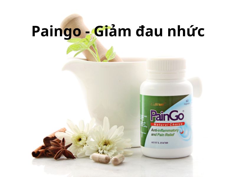 Paingo - Giảm đau nhức