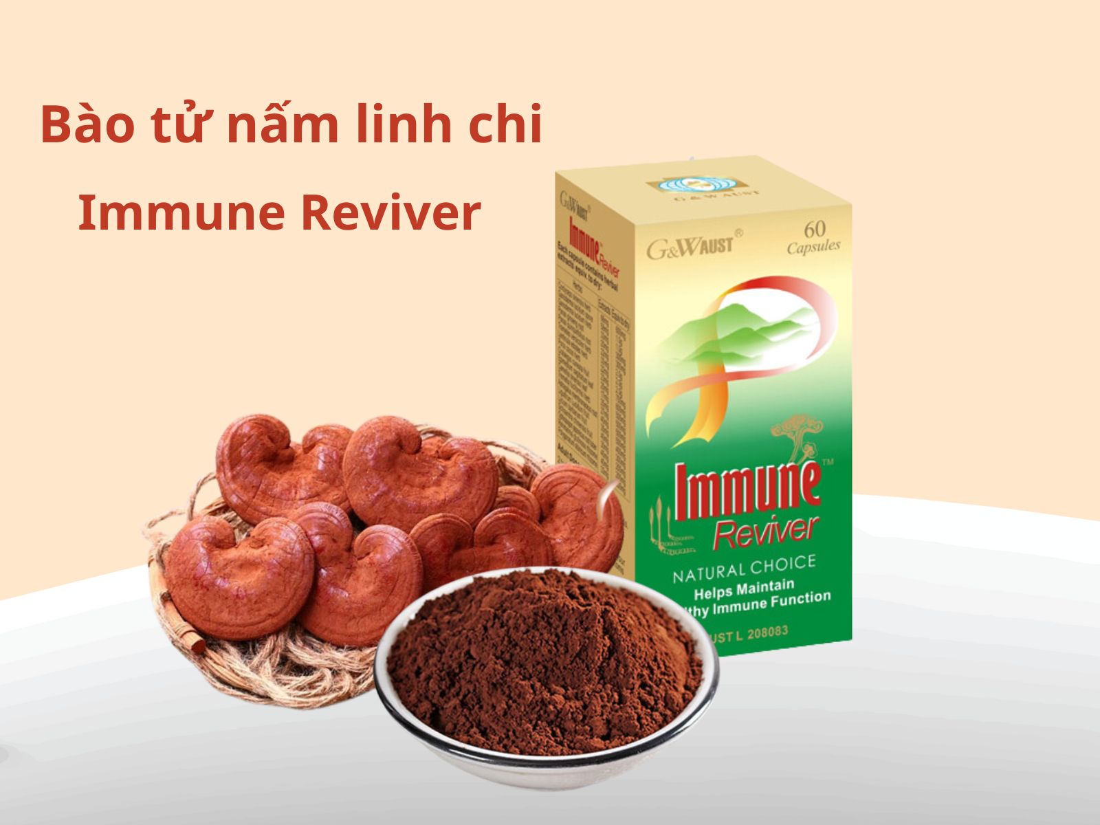 Bào tử nấm linh chi trong Immune Reviver