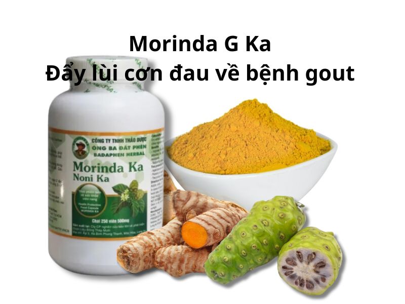 Morinda G Ka - Đẩy lùi cơn đau về bệnh gout