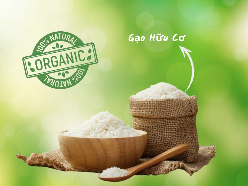 Thực phẩm organic là gì?