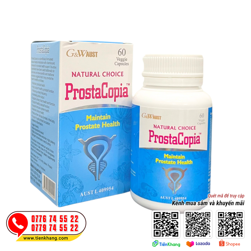 Hướng dẫn sử dụng ProstaCopia