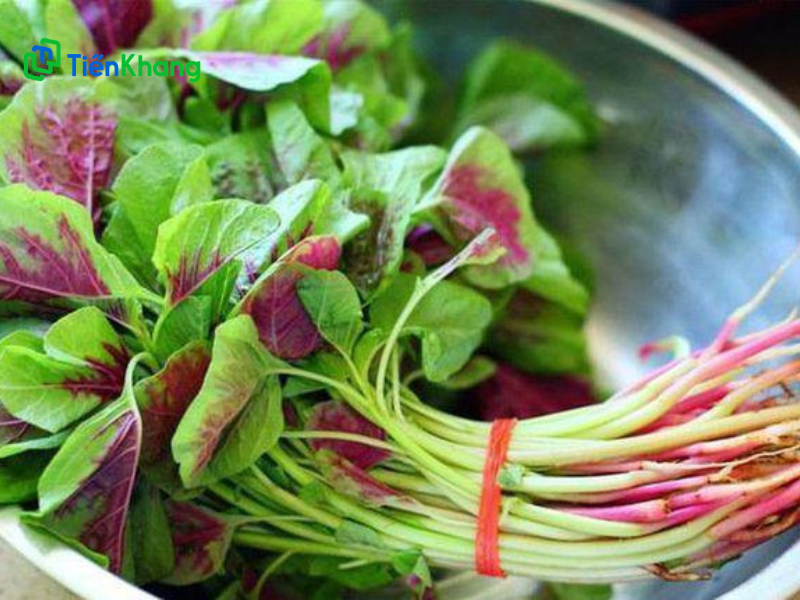 Nên lựa rau dền xanh tươi không bị úa héo