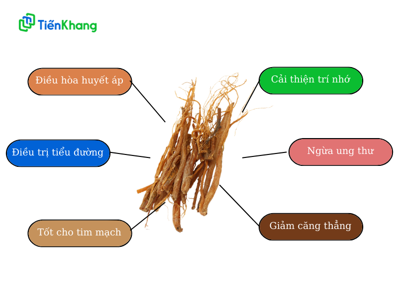 Công dụng của hồng sâm cho người già