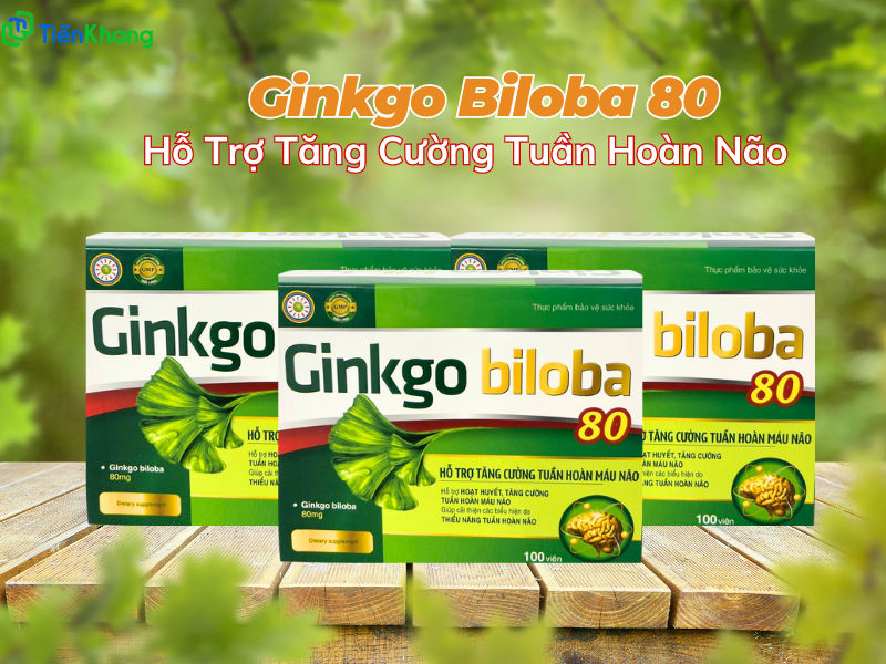 Ginko Biloba 80 - Hỗ trợ tăng cường tuần hoàn não