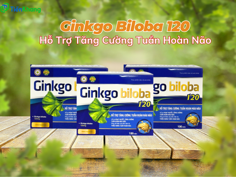 Ginhko Biloba 120