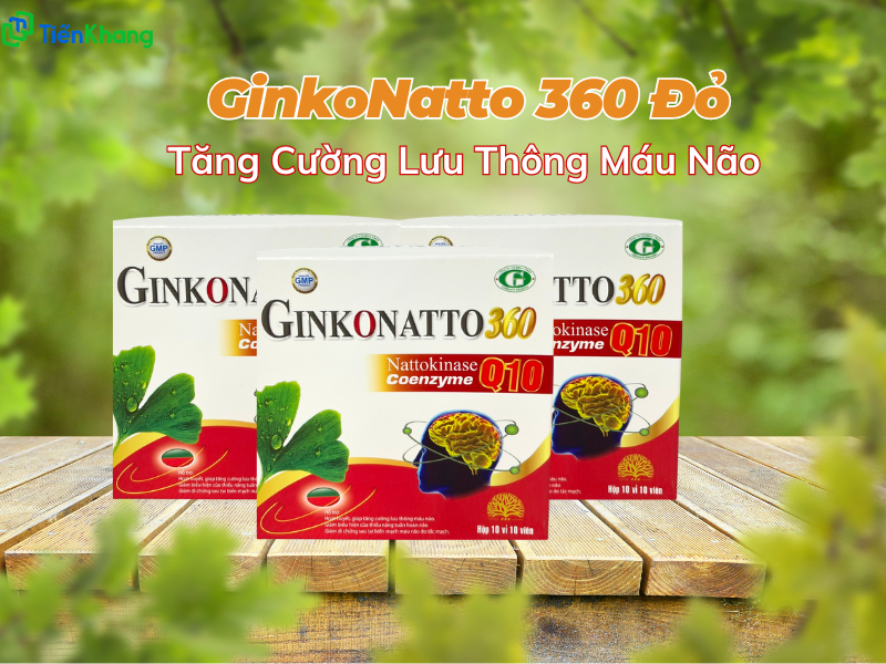 GinkoNatto 360 đỏ - Tăng cường lưu thông máu não