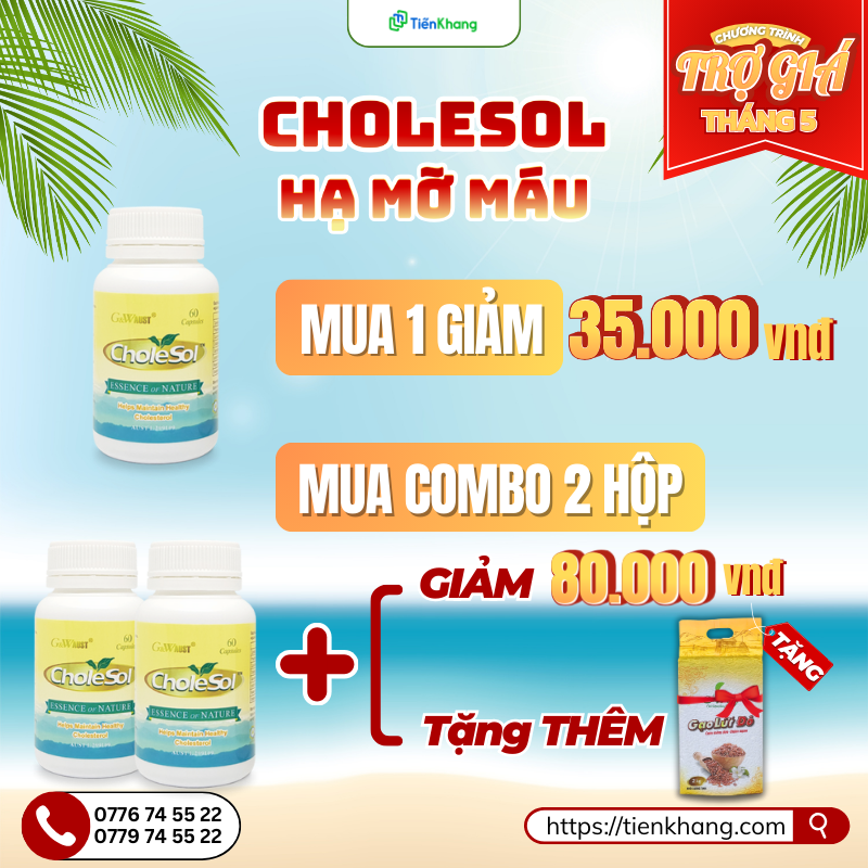 Trợ giá Cholesol