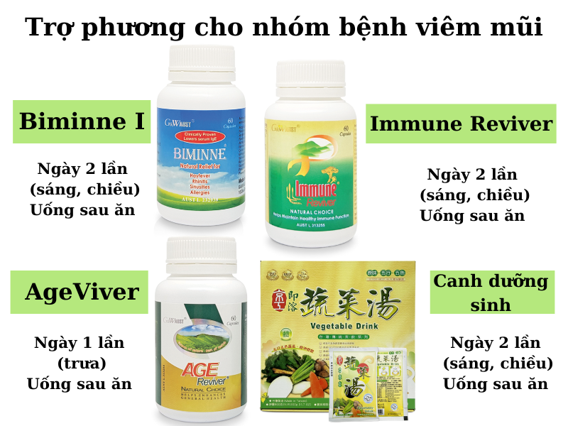 Trợ phương cho nhóm bệnh về viêm mũi dị ứng